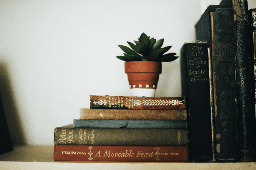 bookend with plant on top
