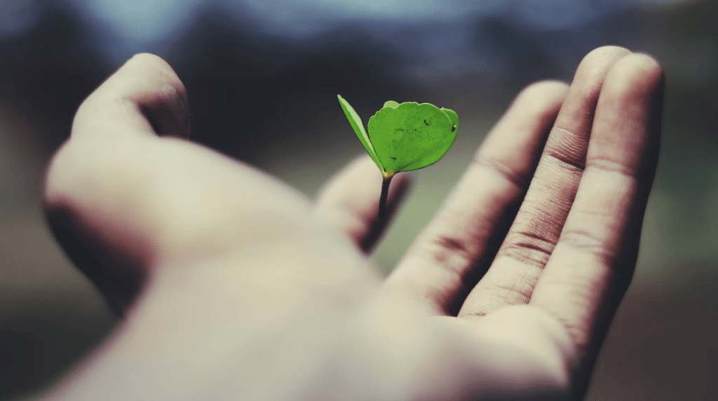 hand holding a leaf to show changing of mindset