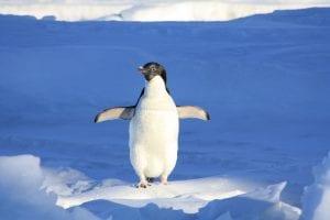Cold pitching