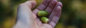 Photo of a hand holding a small green fruit. This article will tell you all about how to raise capital with crowdfunding.