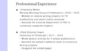 freelance writer resume example 4