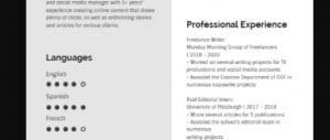 freelance writer resume example 3