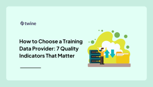 Guide to choose a Training Data Provider